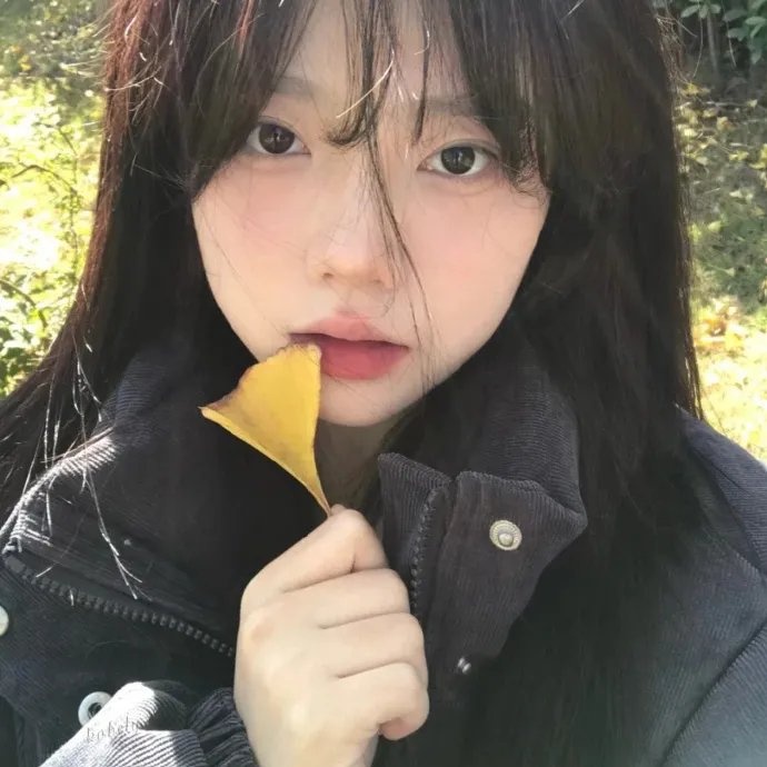 哈妮拉警报